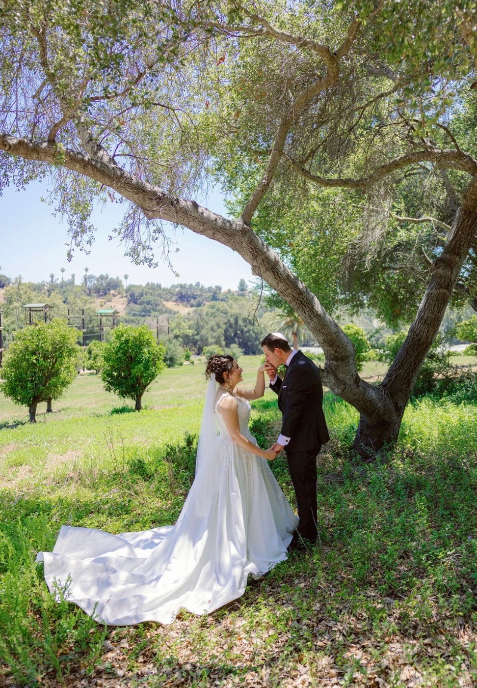 Groom kissing the bride's hand beneath an oak tree